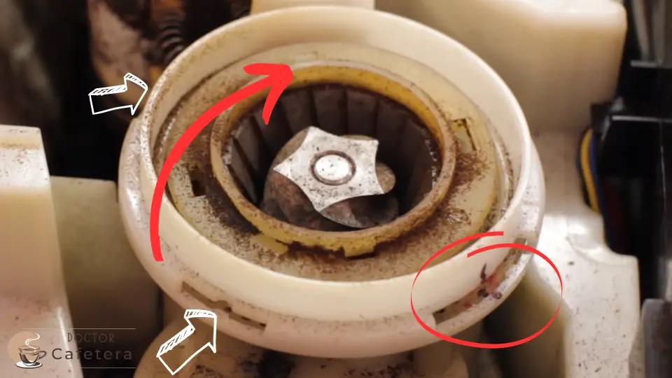 Introduce un destornillador a través de las ranuras y levanta la parte que cubre el molinillo de café