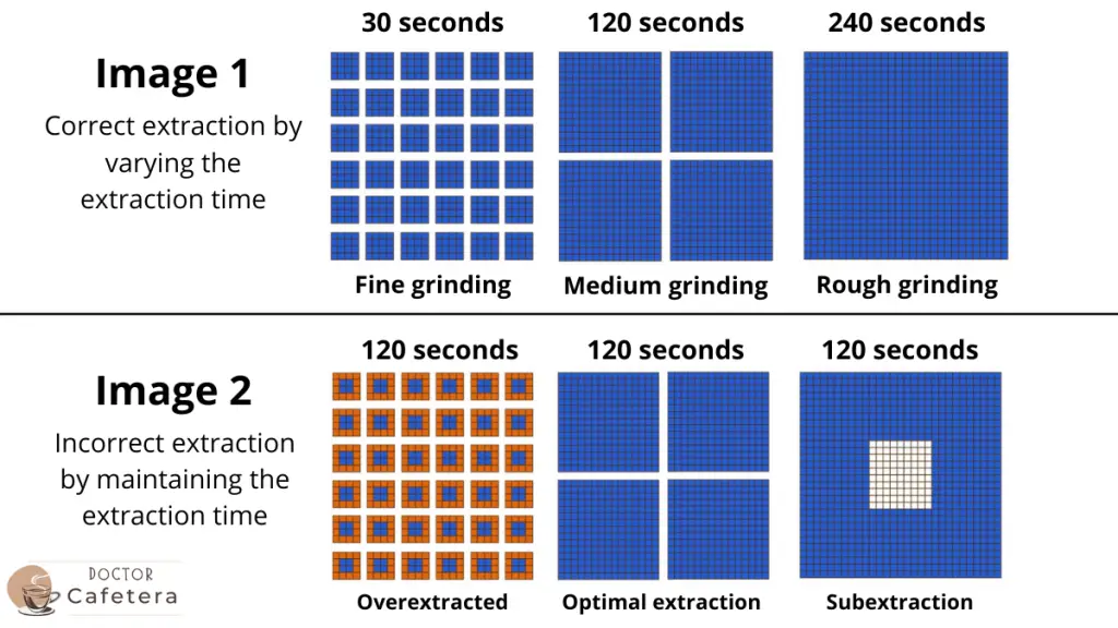 Relationship between grind size and extraction time