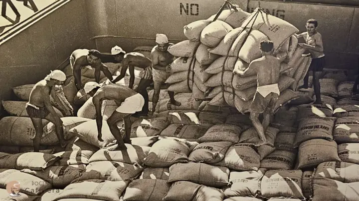 The decade of 1960 shipping coffee