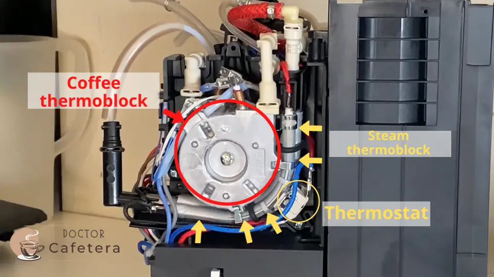 Thermoblocks and steam thermostat