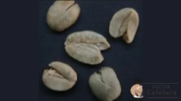 Malformed coffee beans