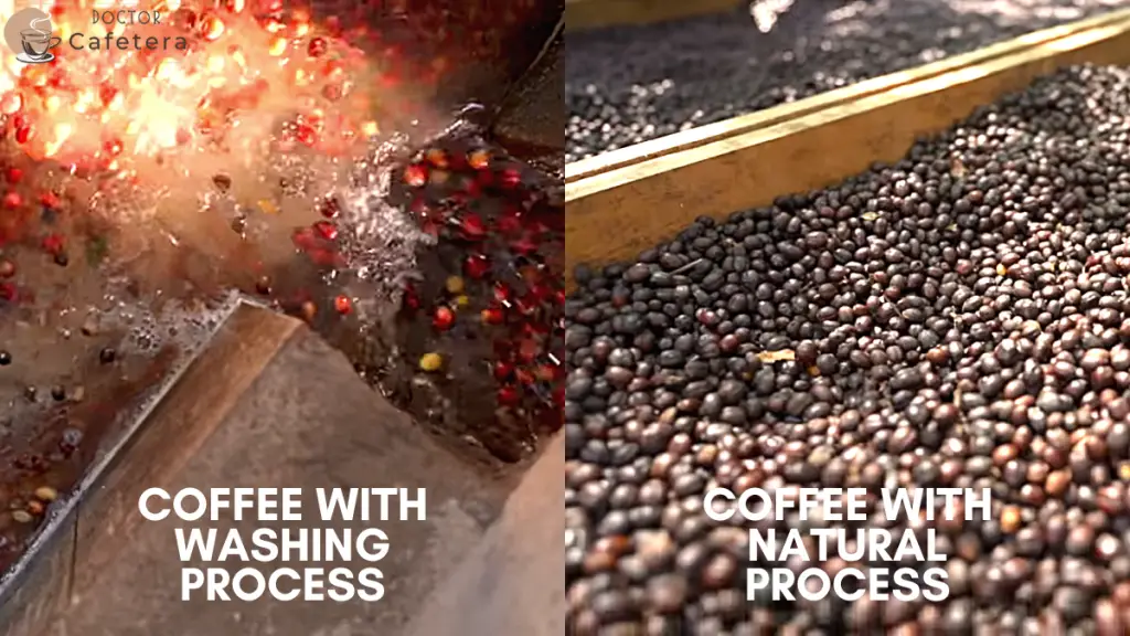 Coffee with washed process vs. Coffee with the natural process
