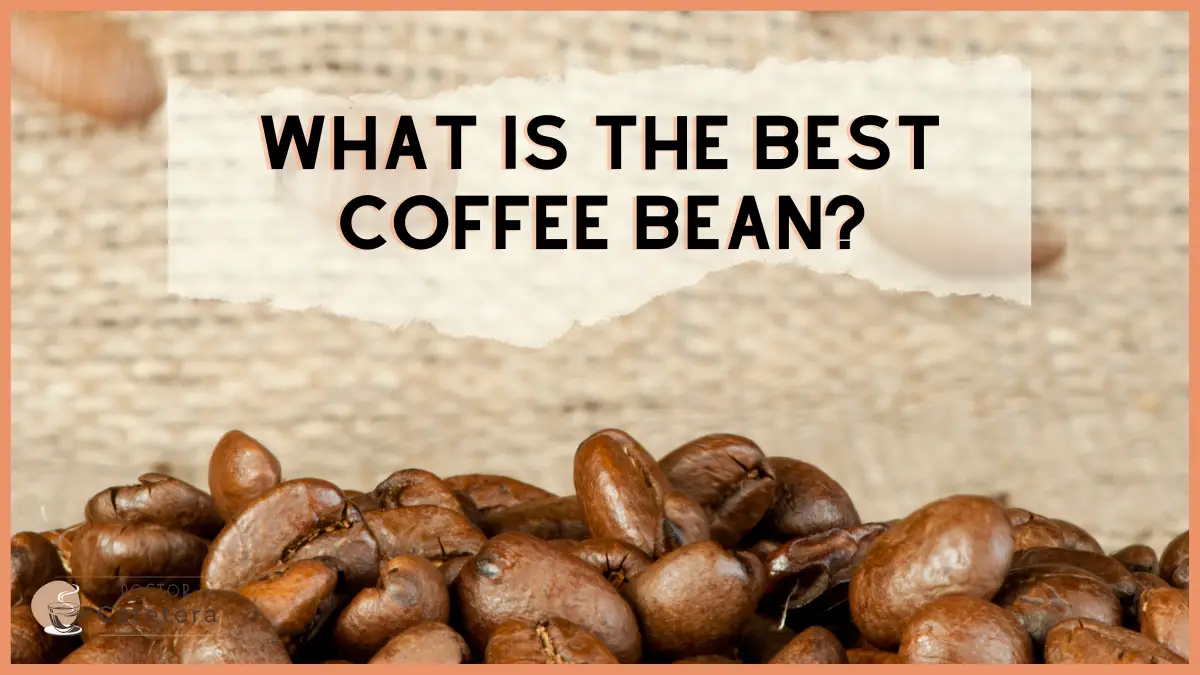 What is the best coffee bean